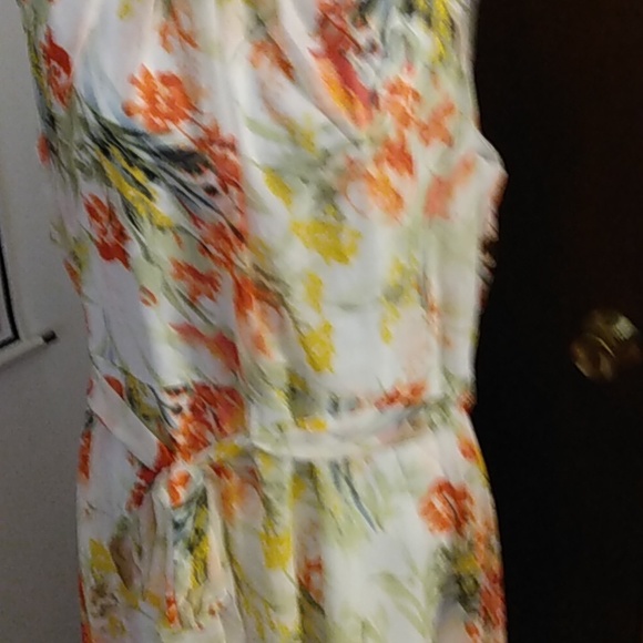 COPY - Beautiful Plus Size Floral Sleeveless Dress. Runs small—more like a 1X o… - Picture 4 of 7